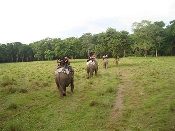 Jungle Safari Resort Sauraha Exterior photo